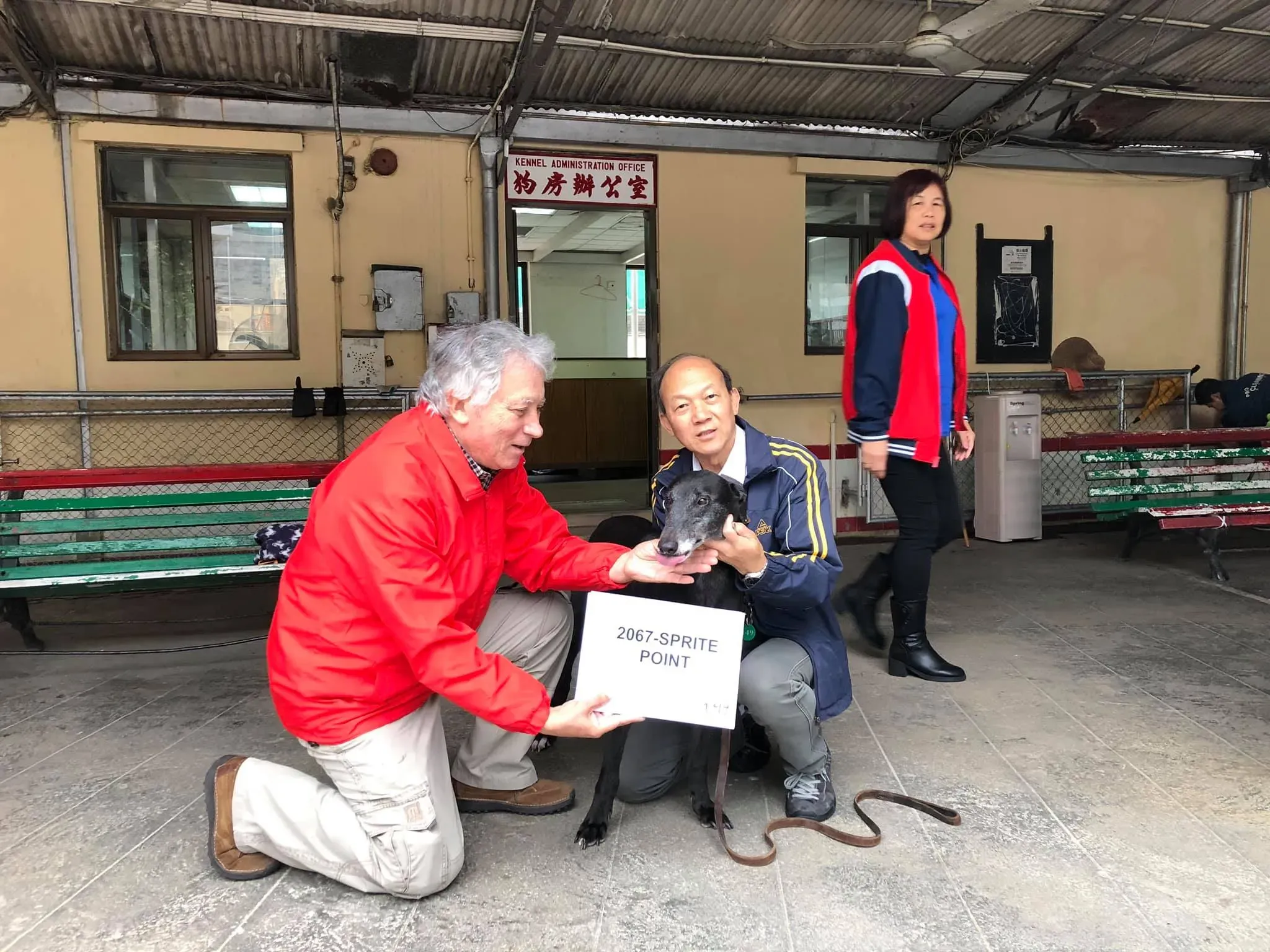 partenza greyhound macao 15