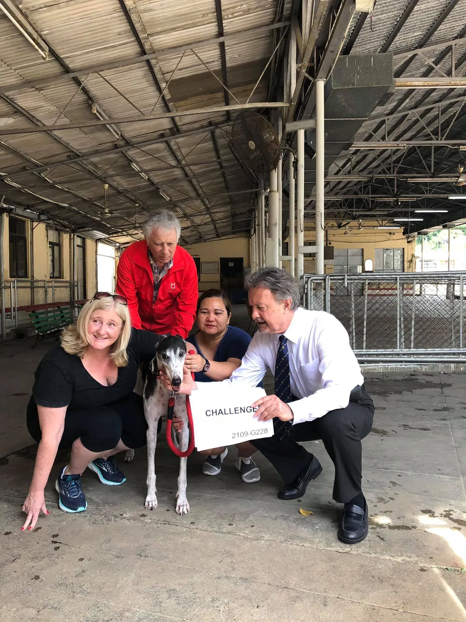 partenza greyhound macao 1