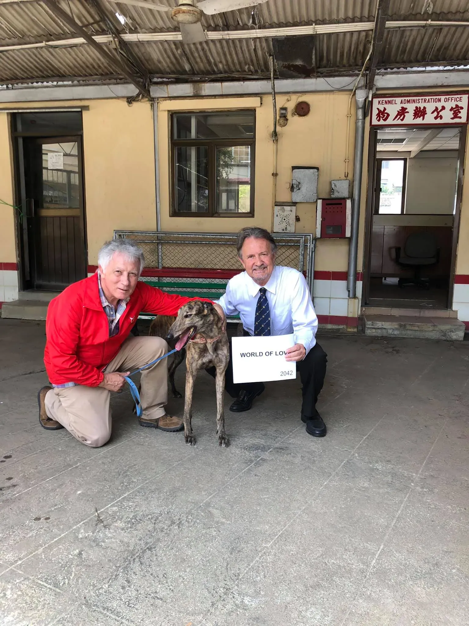 partenza greyhound macao 3