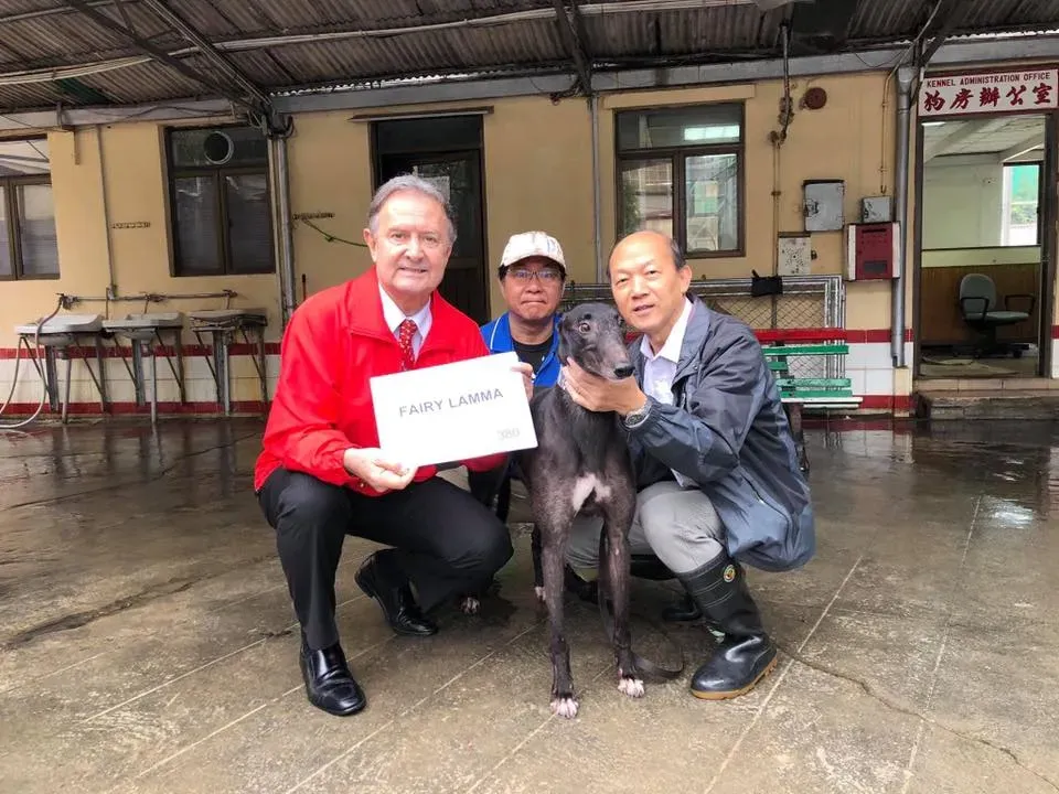 partenza greyhound macao 2 3