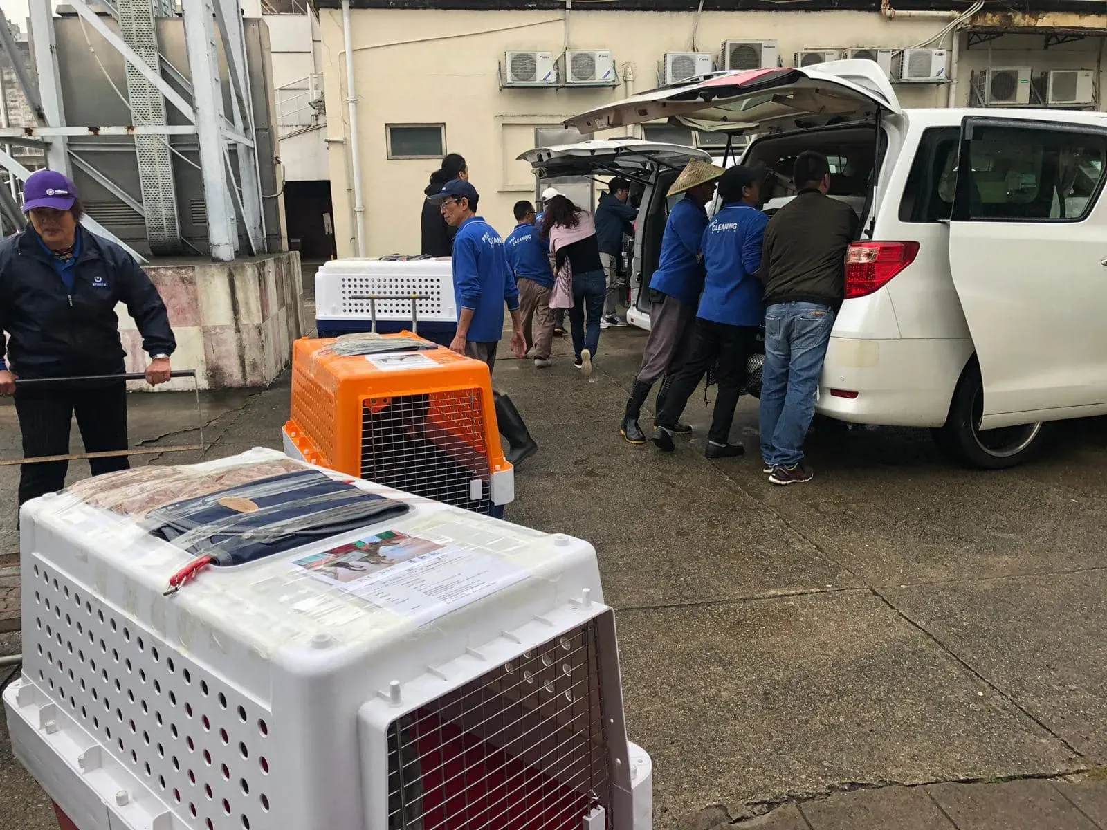 partenza greyhound macao