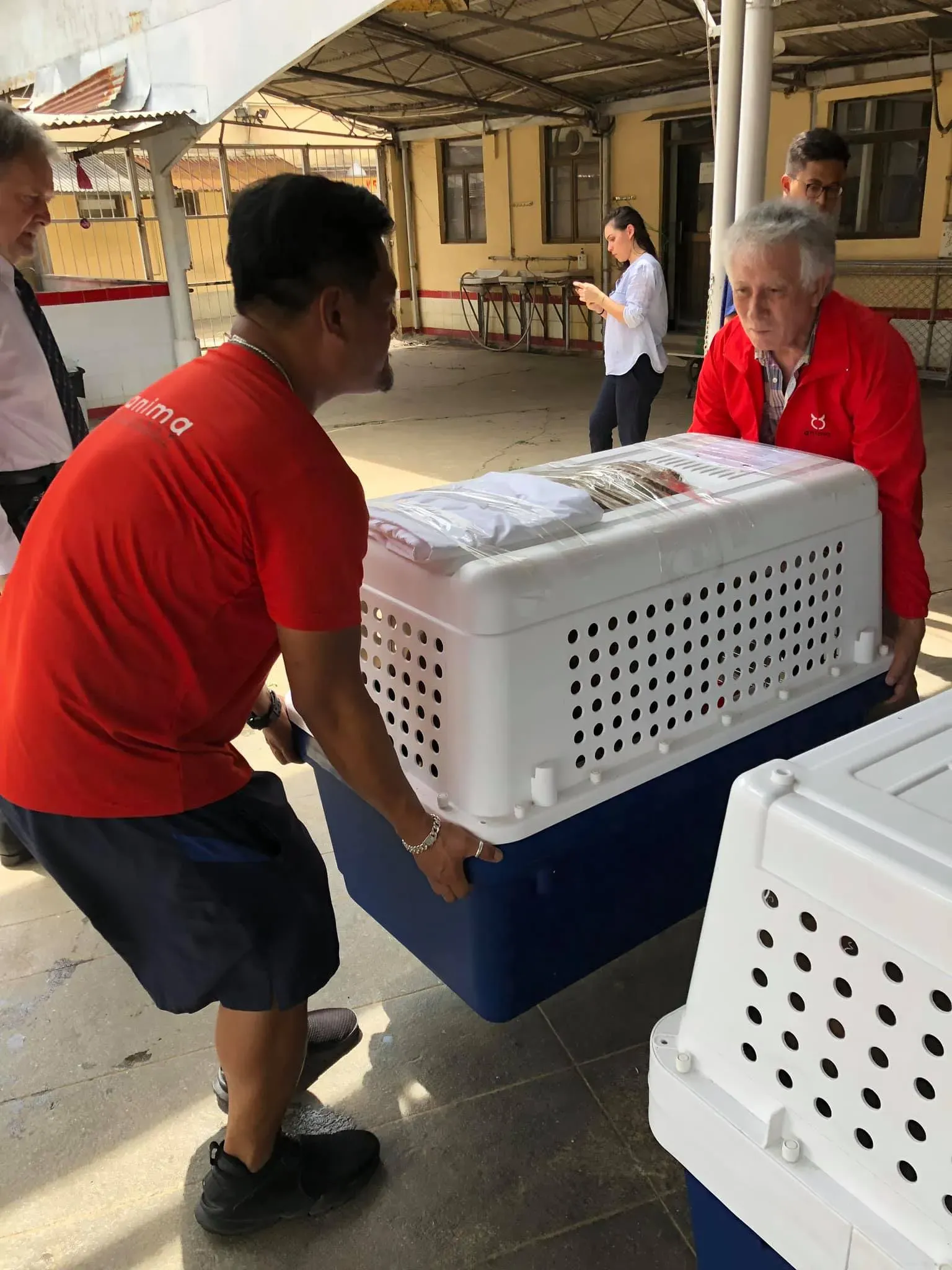 partenza greyhound macao 11