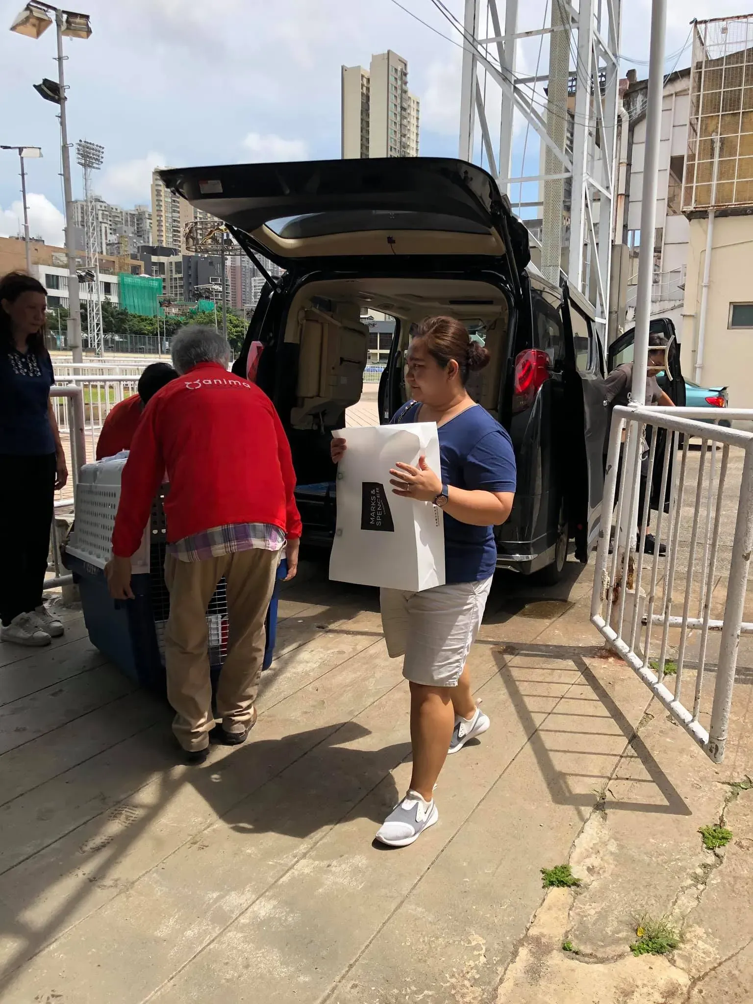 partenza greyhound macao 12