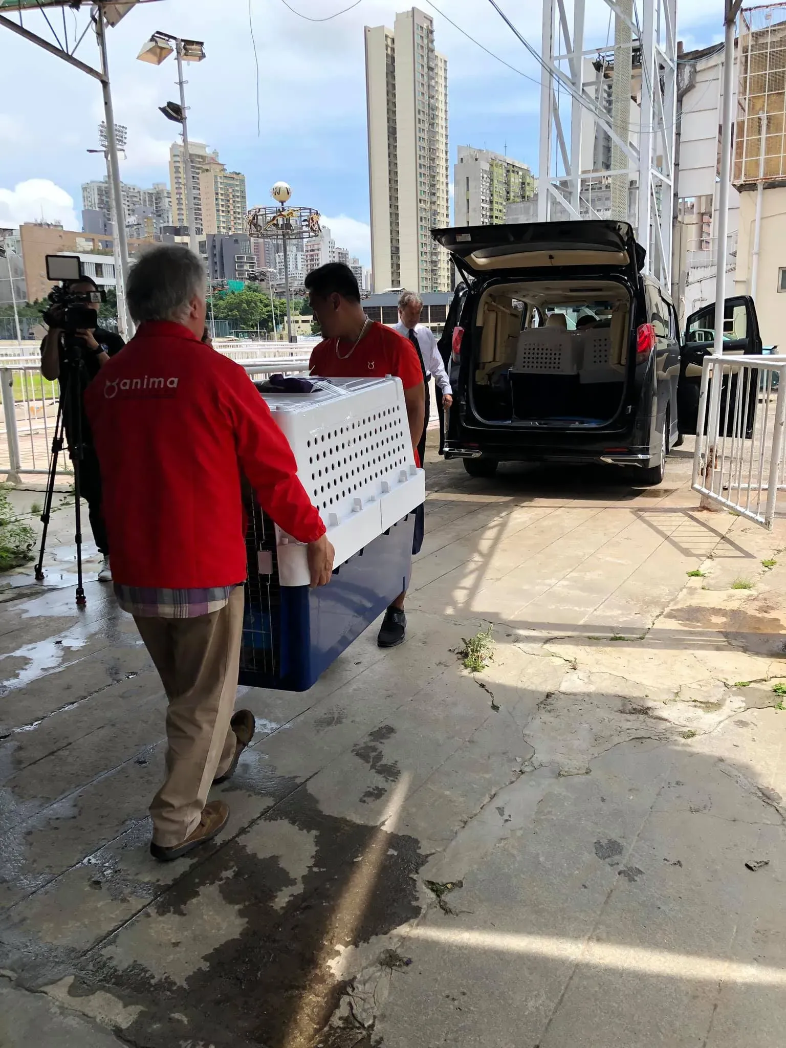 partenza greyhound macao 13