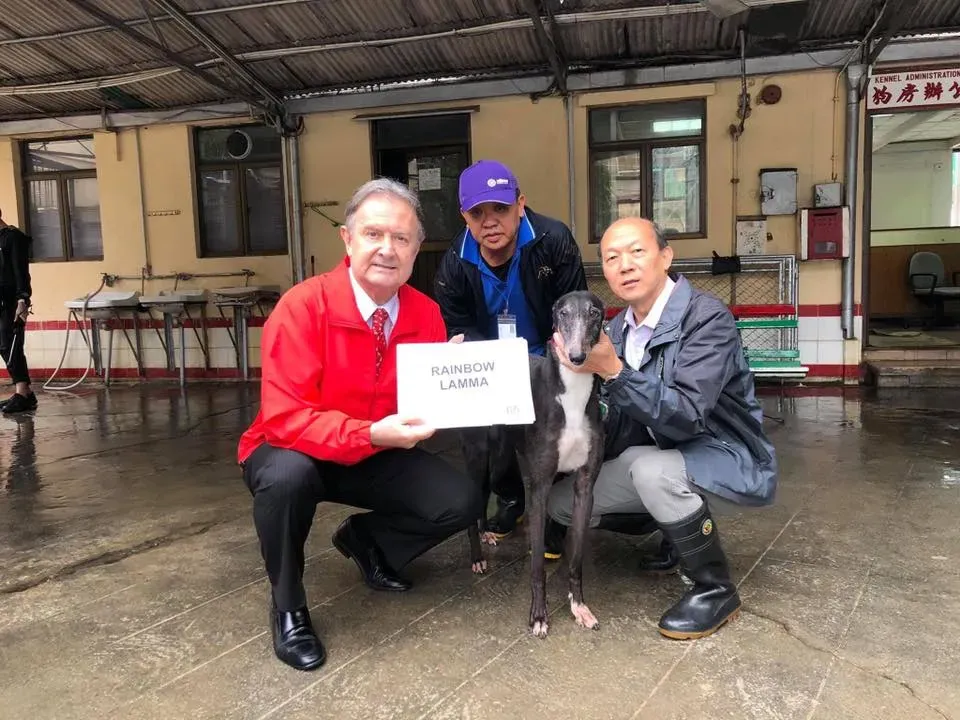 partenza greyhound macao 3 3