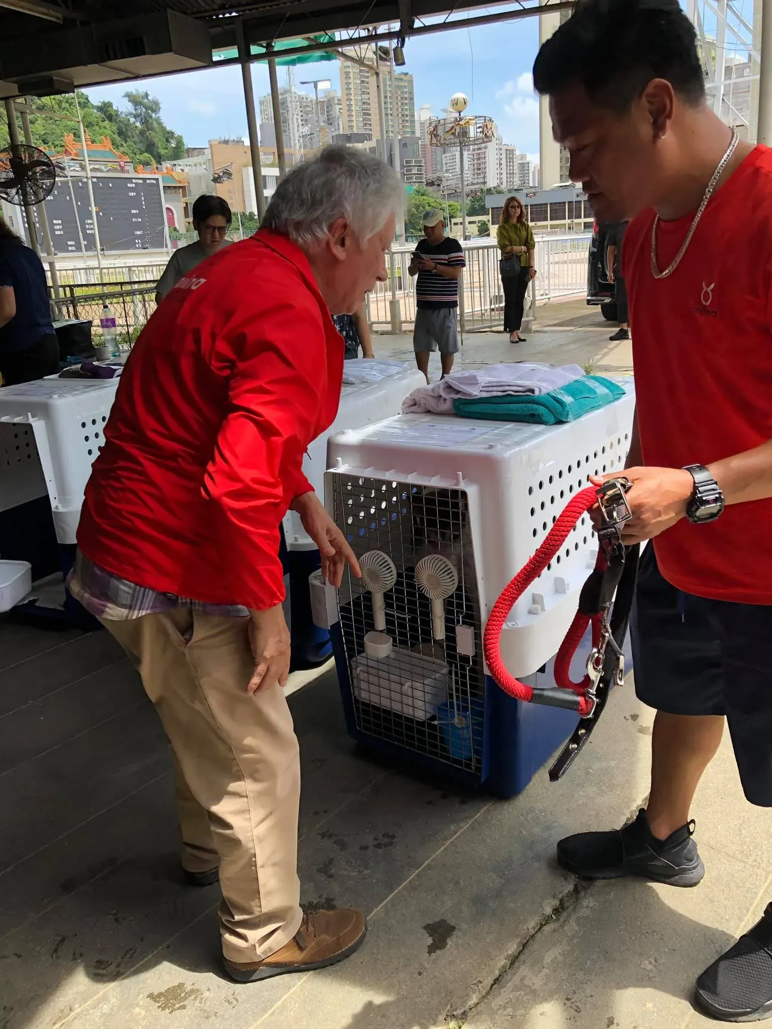 partenza greyhound macao 7