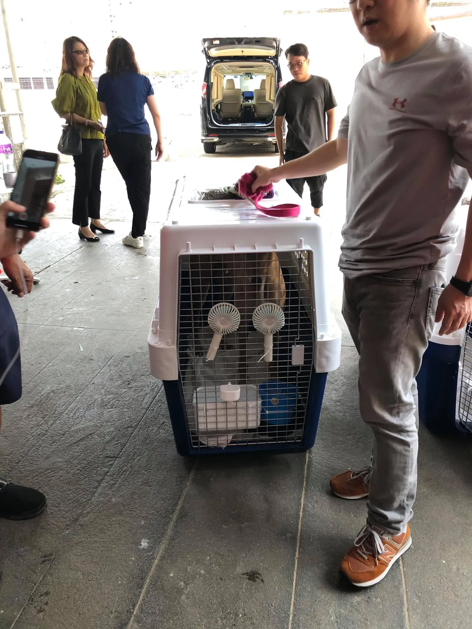 partenza greyhound macao 8