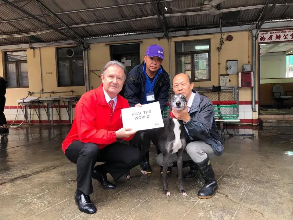 partenza greyhound macao 4 3