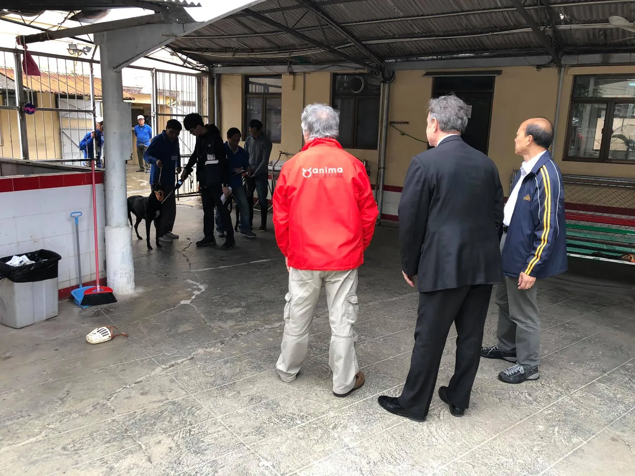 partenza greyhound macao 5 1