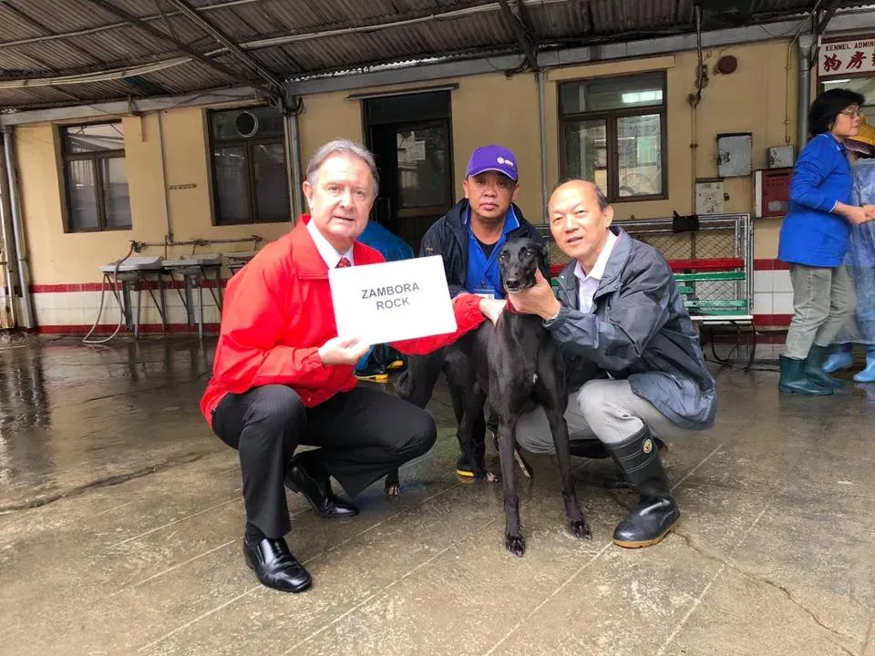 partenza greyhound macao 5 3