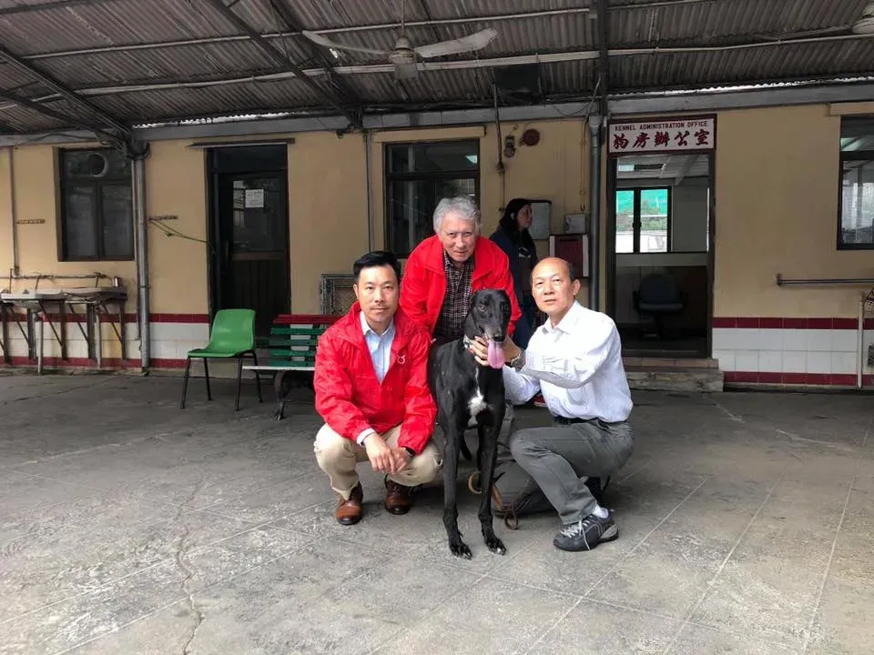 partenza greyhound macao 6 2