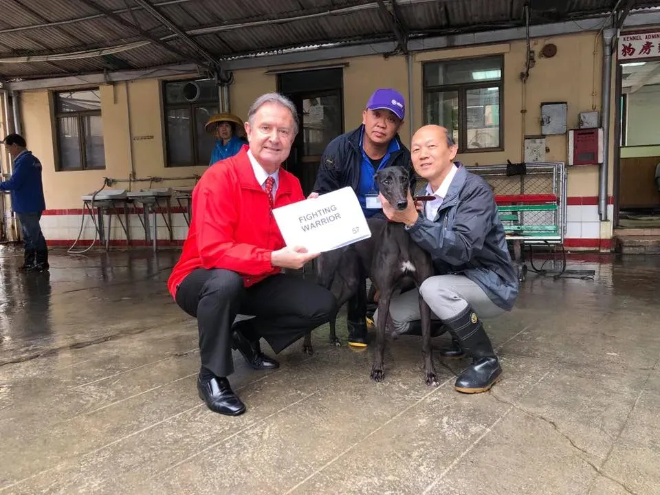 partenza greyhound macao 6 3