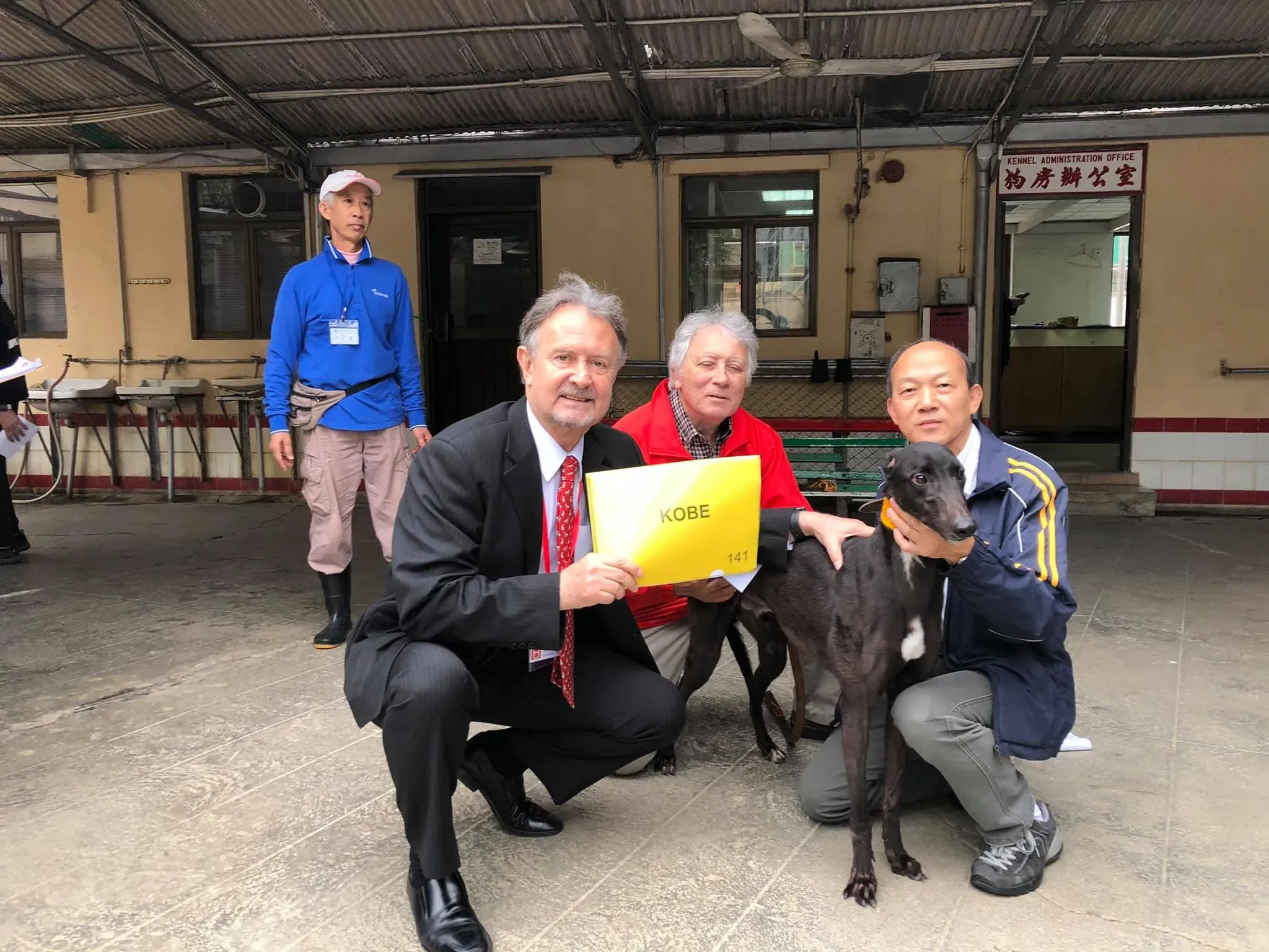 partenza greyhound macao 7 1