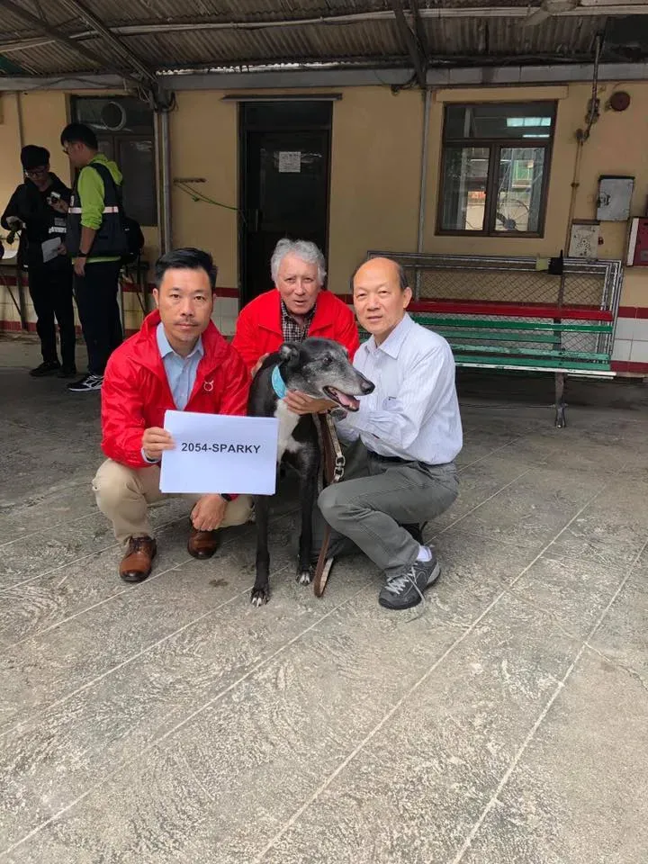 partenza greyhound macao 7 2