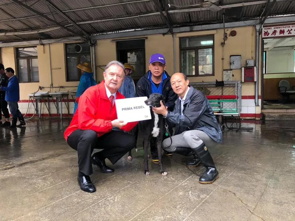 partenza greyhound macao 7 3