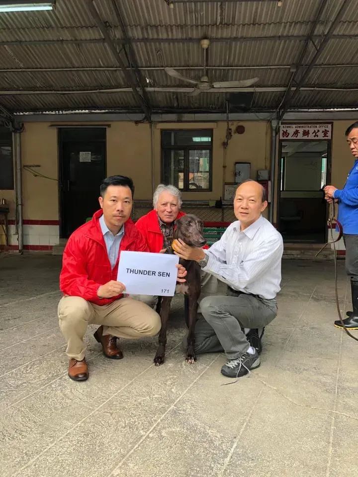 partenza greyhound macao 8 2