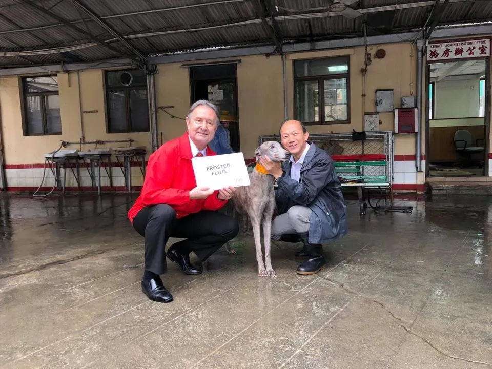 partenza greyhound macao 8 3