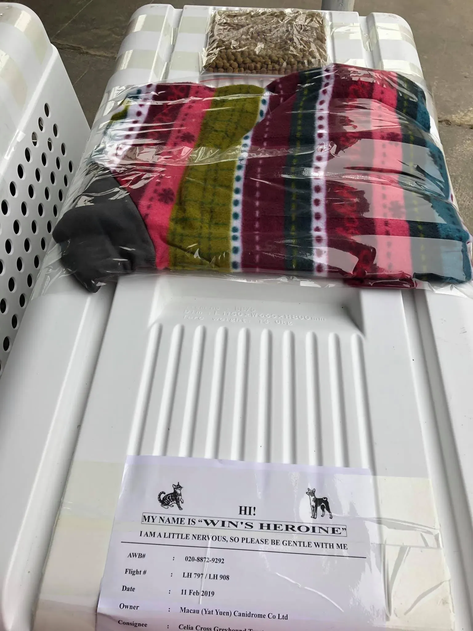 partenza greyhound macao 9 1