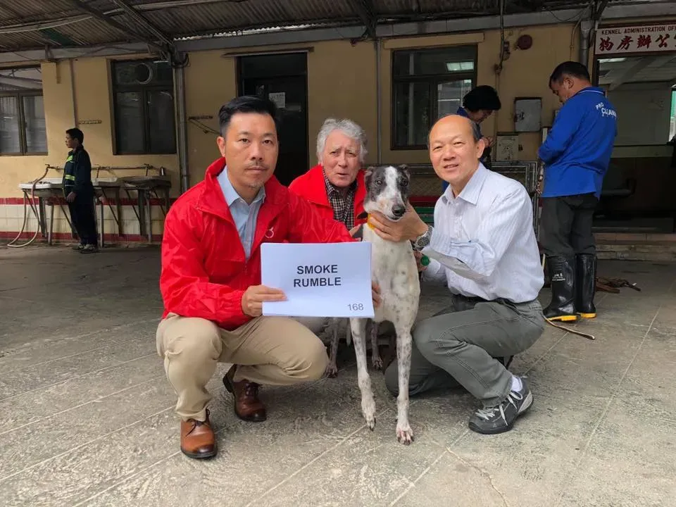 partenza greyhound macao 9 2