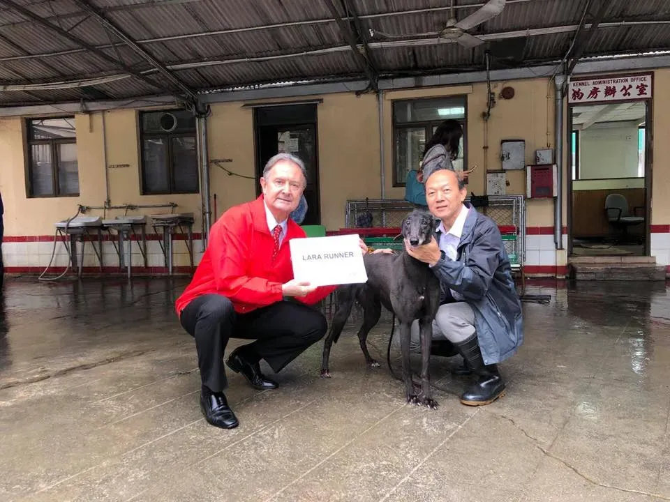 partenza greyhound macao 9 3