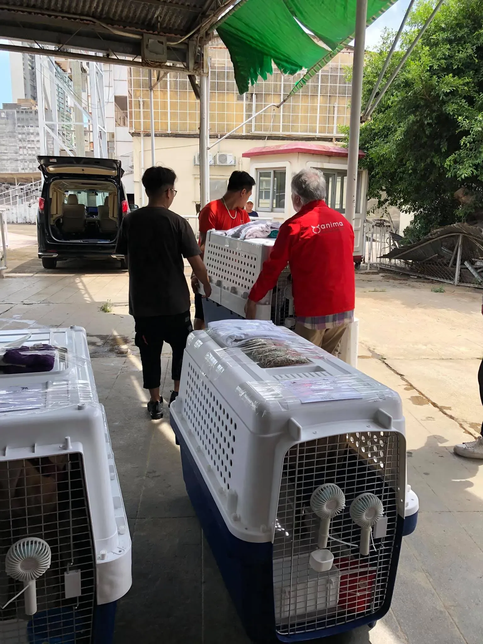 partenza greyhound macao 9