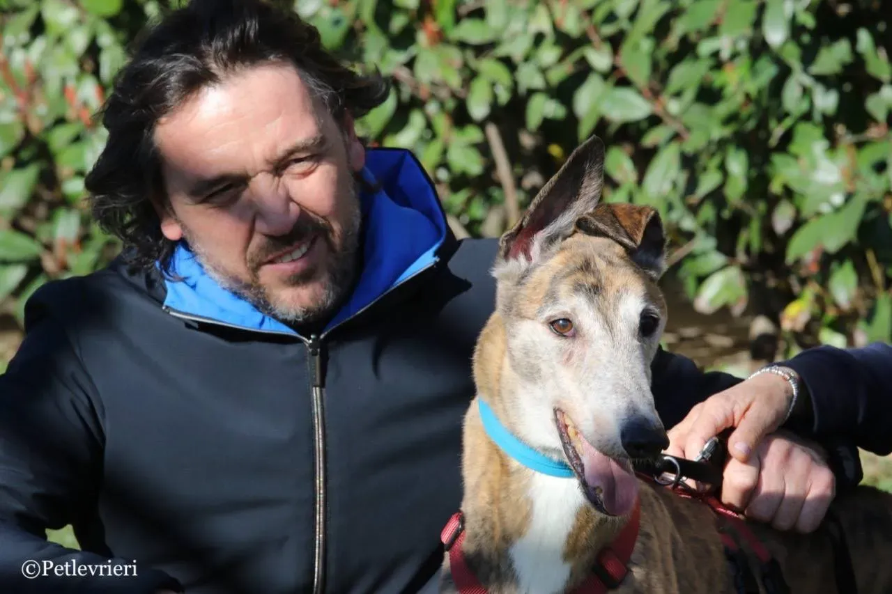 penha adozione greyhound macao 9