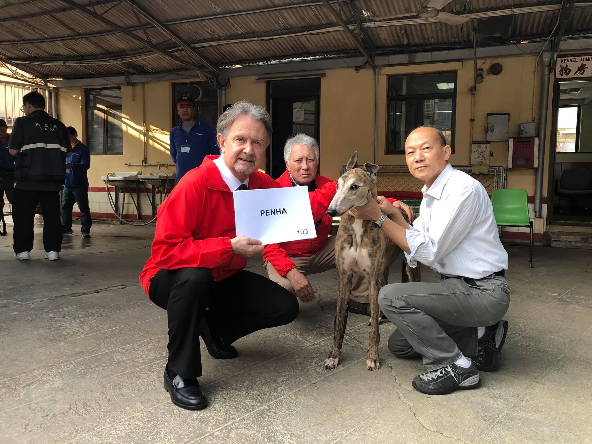 penha partenza greyhound macao