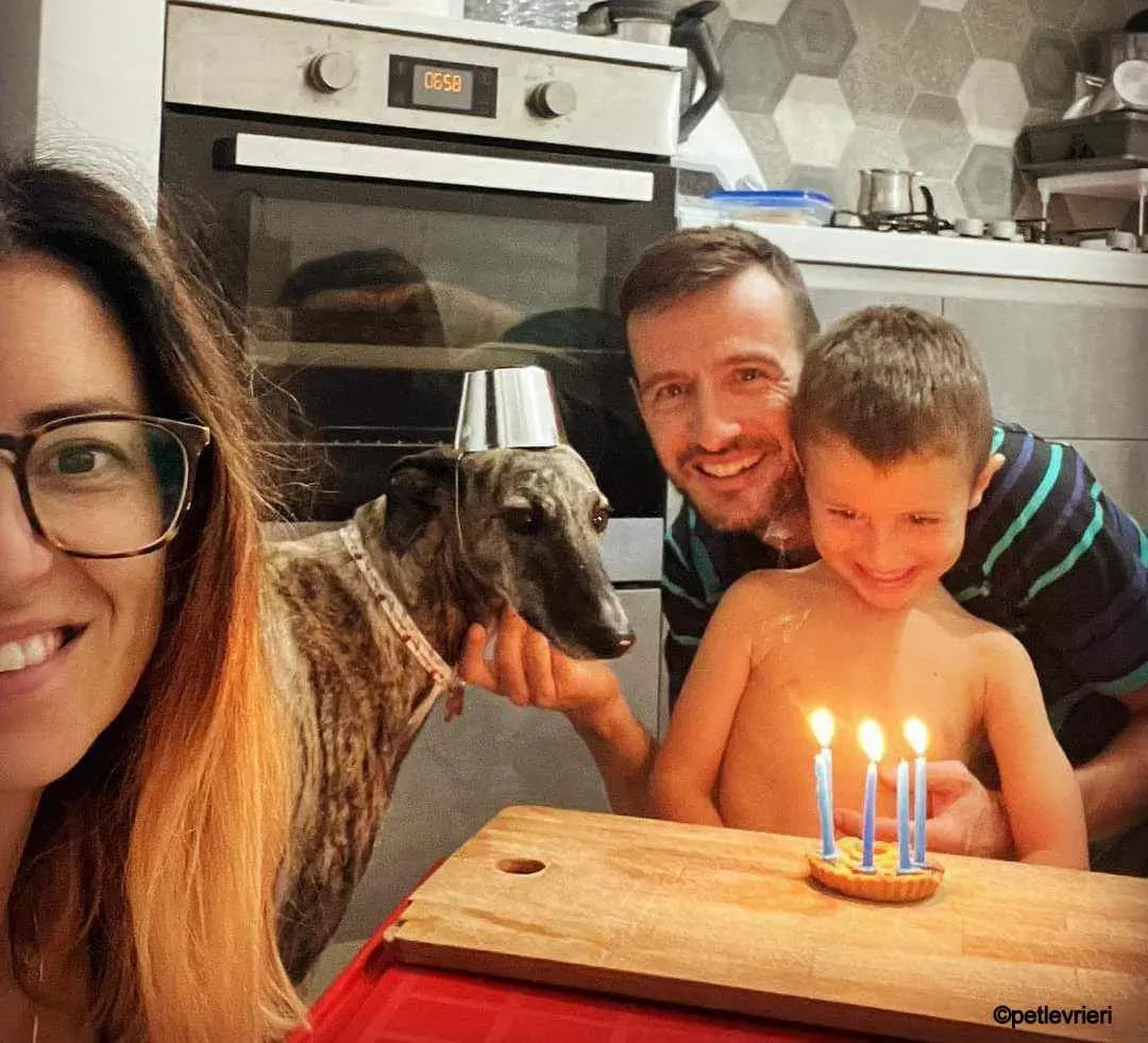 pequena galgo pet levrieri felici casa12.jpg