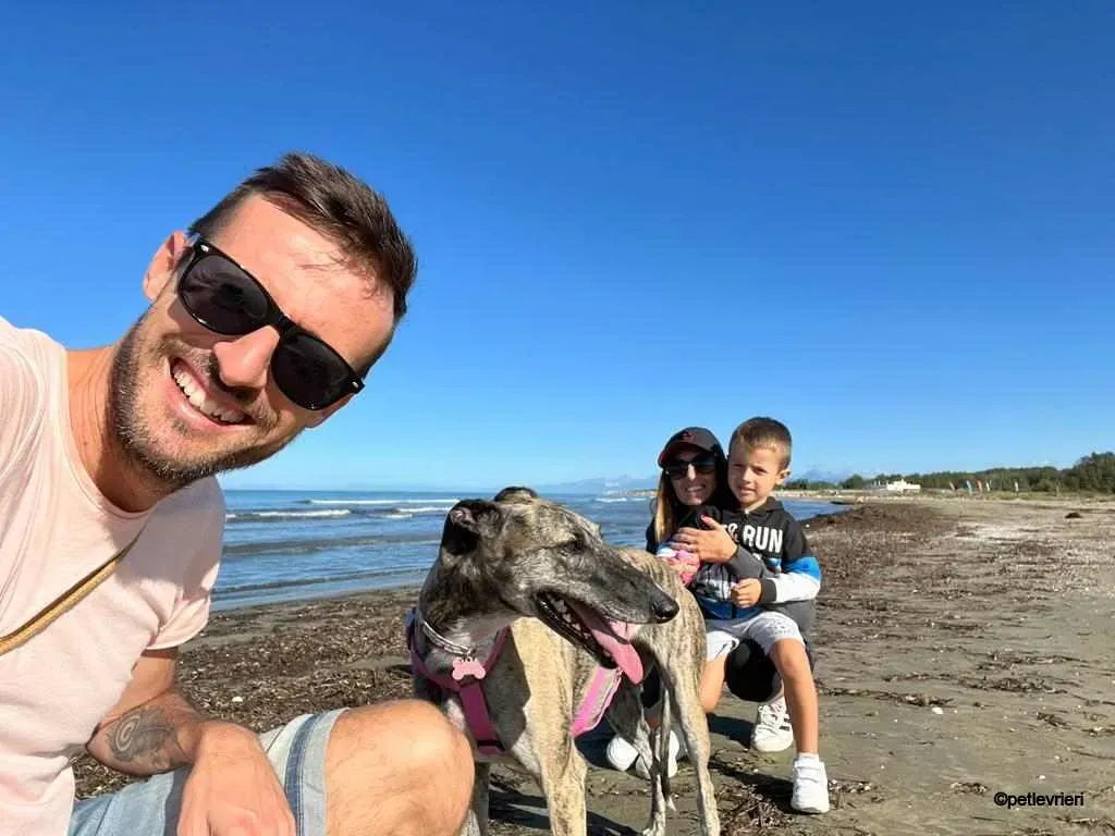 pequena galgo pet levrieri felici casa4.jpg