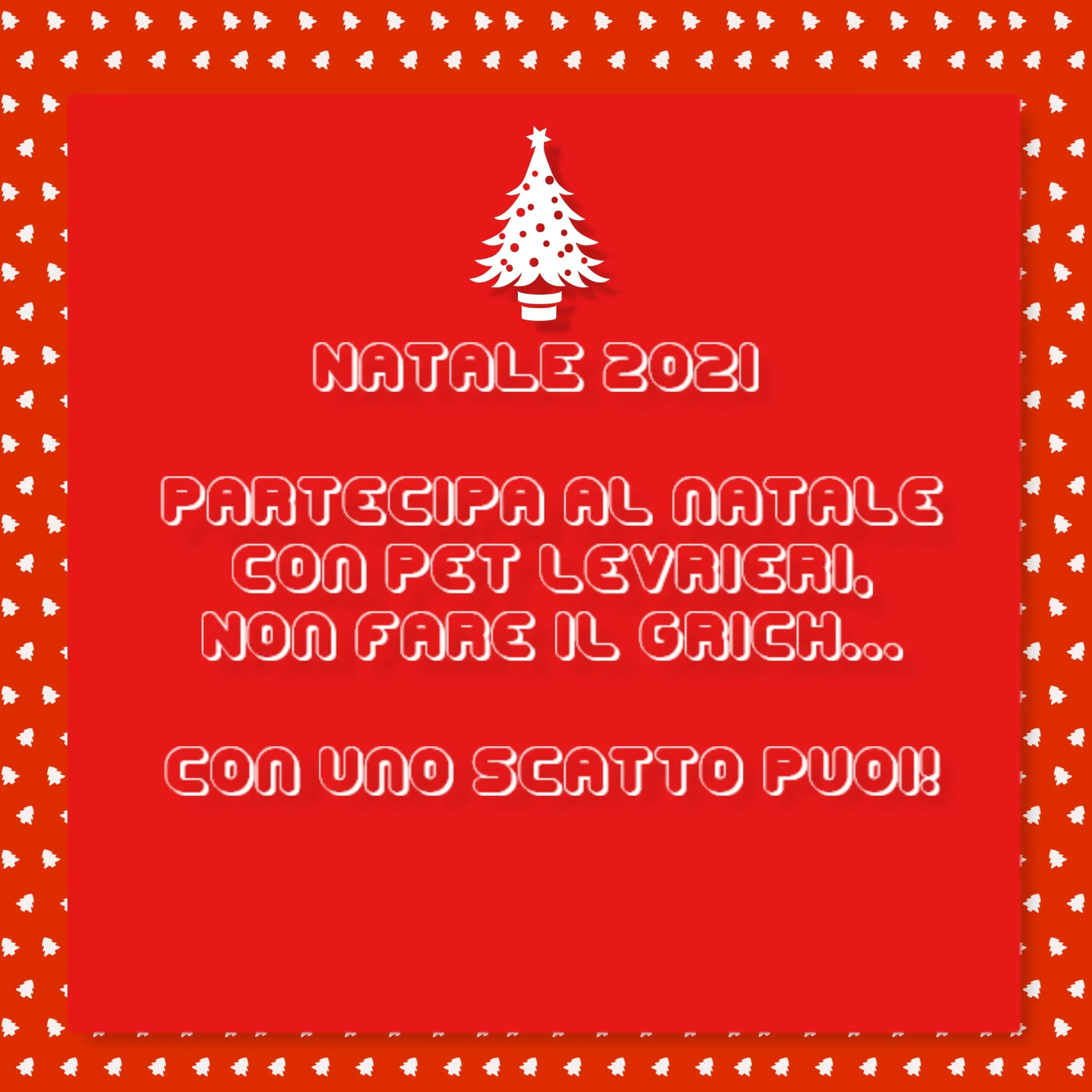 pet levrieri natale 2021 scaled