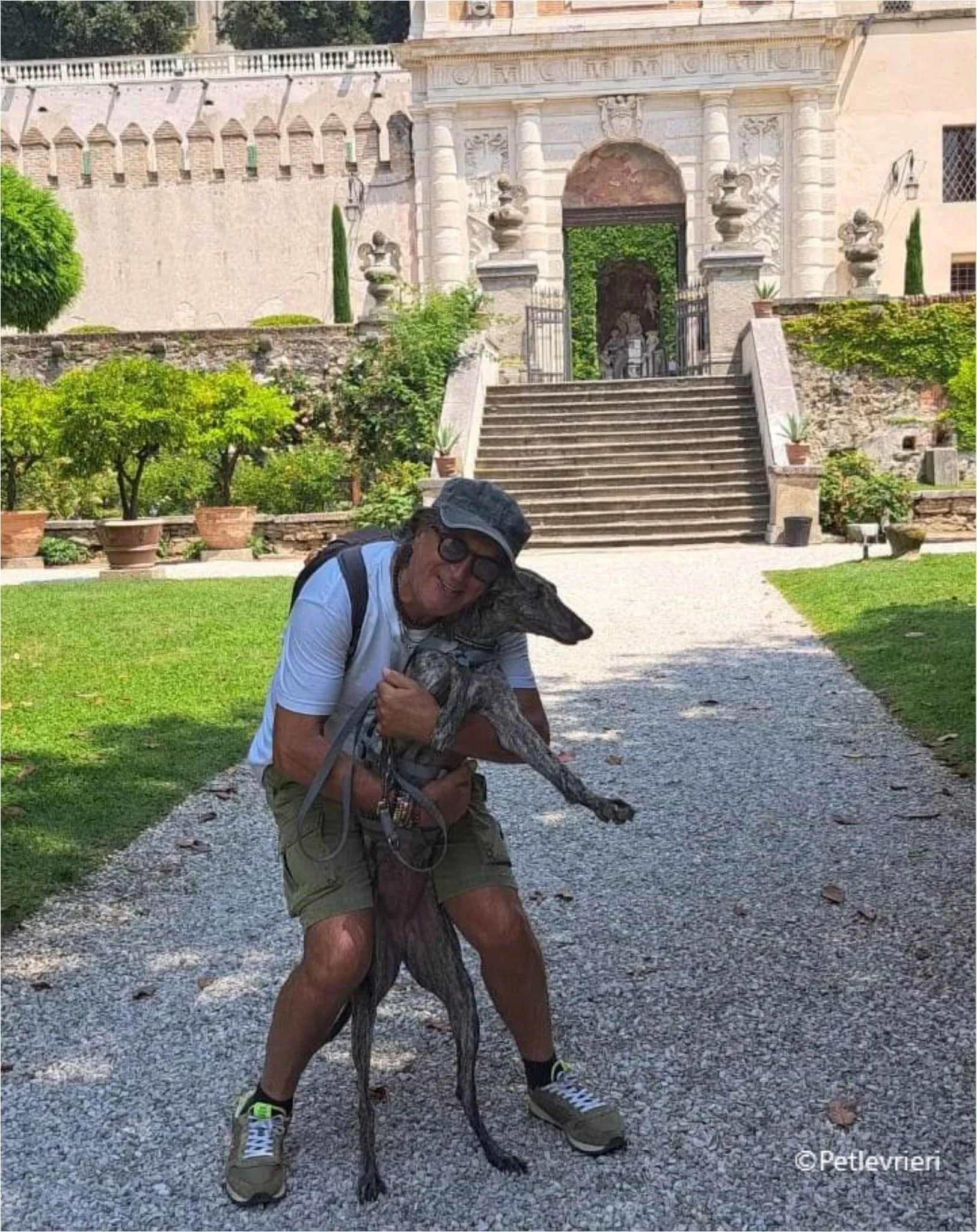 petra galga pet levrieri felici casa3