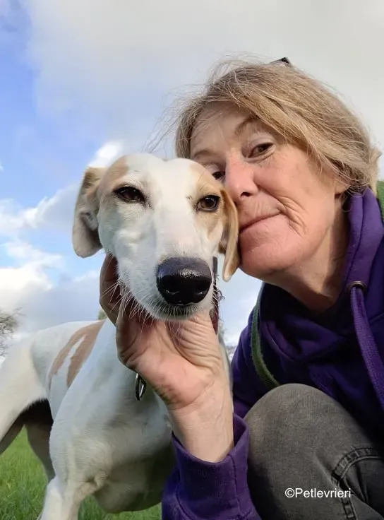 pina adozione levrieri greyound lurcher 6