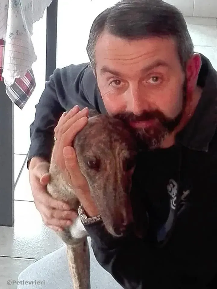 pop and fresh adozione greyhound macao 2