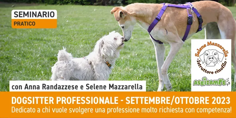 post SITO DOGSITTER PROFESSIONALE