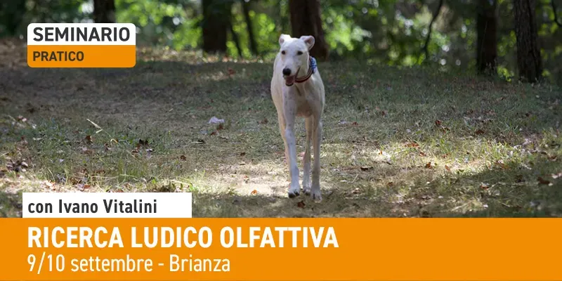 post SITO Ricerca Ludico Olfattiva