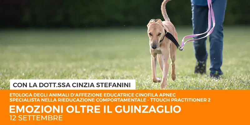 post sito emozioni oltre il guinzaglio