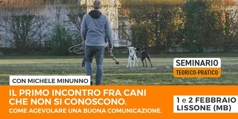 post sito il primo incontro