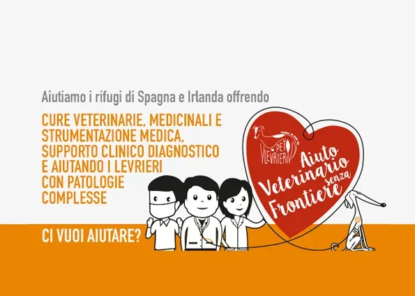 progetto veterinario 1