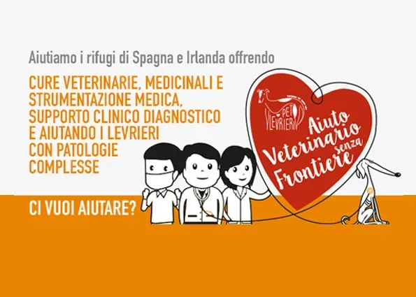 progetto veterinario 2