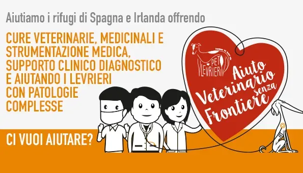 progetto veterinario
