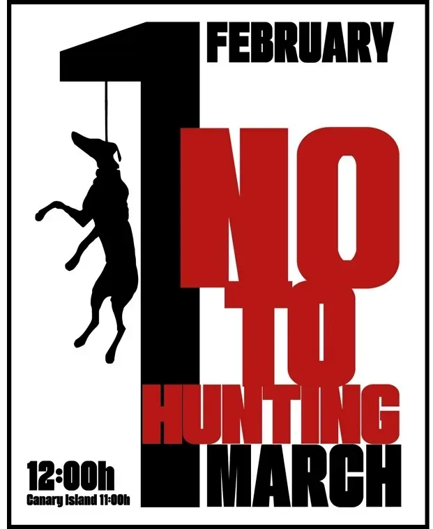 publicacion redes ingles