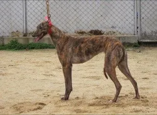 qJCZqmUYxPgkXar 800x450 noPad