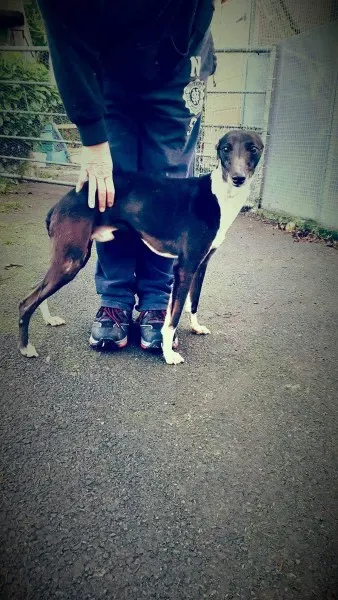 received 10206782675739047