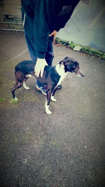 received 10206782676299061