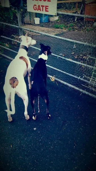 received 10206782676459065