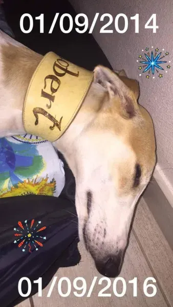 received 10208981555288759