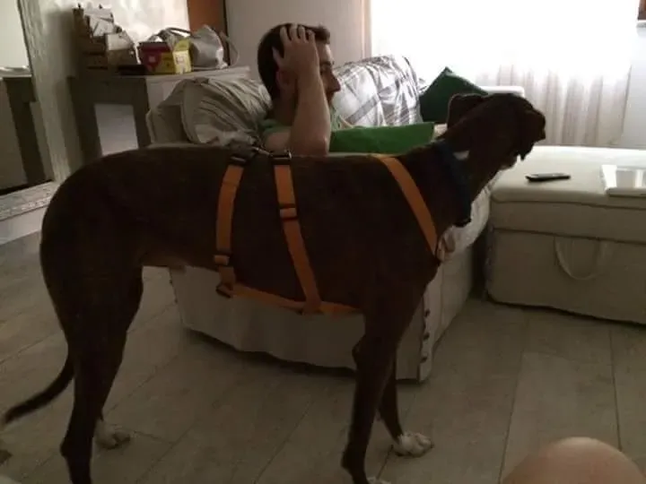 received 10209089637790754