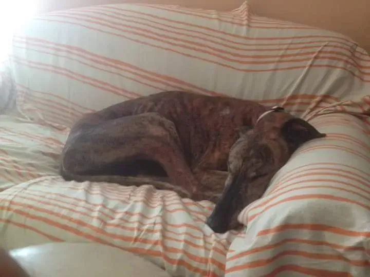 received 10209089637830755