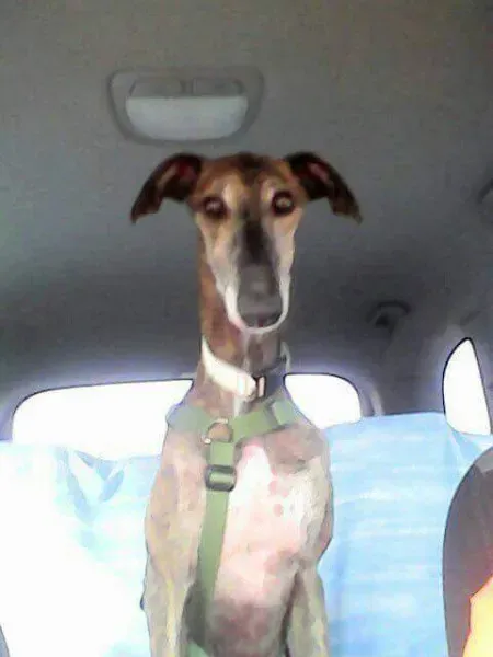 received 10209089637870756