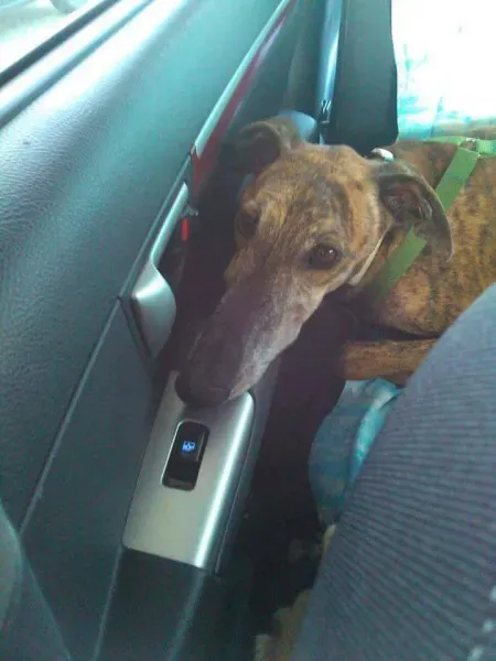 received 10209089638030760